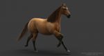 Horse 3D Model Online