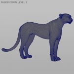 Cheetah (FUR) (ANIMATED) 3D Model Online | Animal 3D Model Online