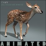 Fawn (ANIMATED) 3D Model Online | 3D Model Online