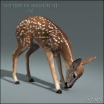 Fawn (ANIMATED) 3D Model Online | 3D Model Online