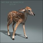 Fawn (ANIMATED) 3D Model Online | 3D Model Online