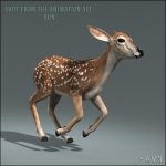 Fawn (ANIMATED) 3D Model Online | 3D Model Online