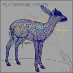 Fawn (ANIMATED) 3D Model Online | 3D Model Online