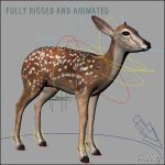 Fawn (ANIMATED) 3D Model Online | 3D Model Online