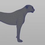 Cheetah (FUR) (ANIMATED) 3D Model Online | Animal 3D Model Online