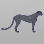 Cheetah (FUR) (ANIMATED) 3D Model Online | Animal 3D Model Online