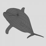 Dolphin 3D Model Online