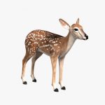 Fawn (ANIMATED) 3D Model Online | 3D Model Online