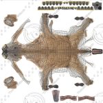 Doe (ANIMATED) 3D Model Online | 3D Model Online
