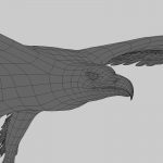 Golden Eagle (ANIMATED) 3D Model Online | 3D Model Online