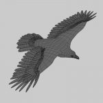 Golden Eagle (ANIMATED) 3D Model Online | 3D Model Online
