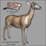 Doe (ANIMATED) 3D Model Online | 3D Model Online