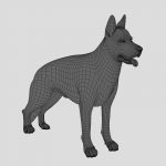 German Shepherd 3D Model Online