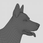 German Shepherd 3D Model Online