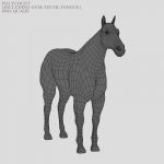 Horse 3D Model Online