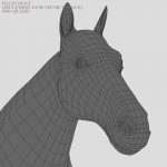 Horse 3D Model Online