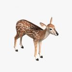 Fawn (ANIMATED) 3D Model Online | 3D Model Online