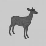 Doe (ANIMATED) 3D Model Online | 3D Model Online