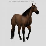 Horse 3D Model Online