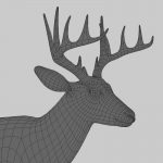 Deer (ANIMATED) 3D Model Online | 3D Model Online