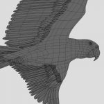 Macaw (ANIMATED) 3D Model Online