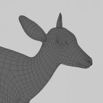 Fawn (ANIMATED) 3D Model Online | 3D Model Online