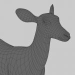 Doe (ANIMATED) 3D Model Online | 3D Model Online