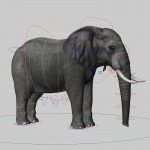 African Elephant (FUR) (ANIMATED) 3D Model Online | Animal 3D Model Online