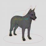 Siberian Husky 3D Model Online | 3D Model Online