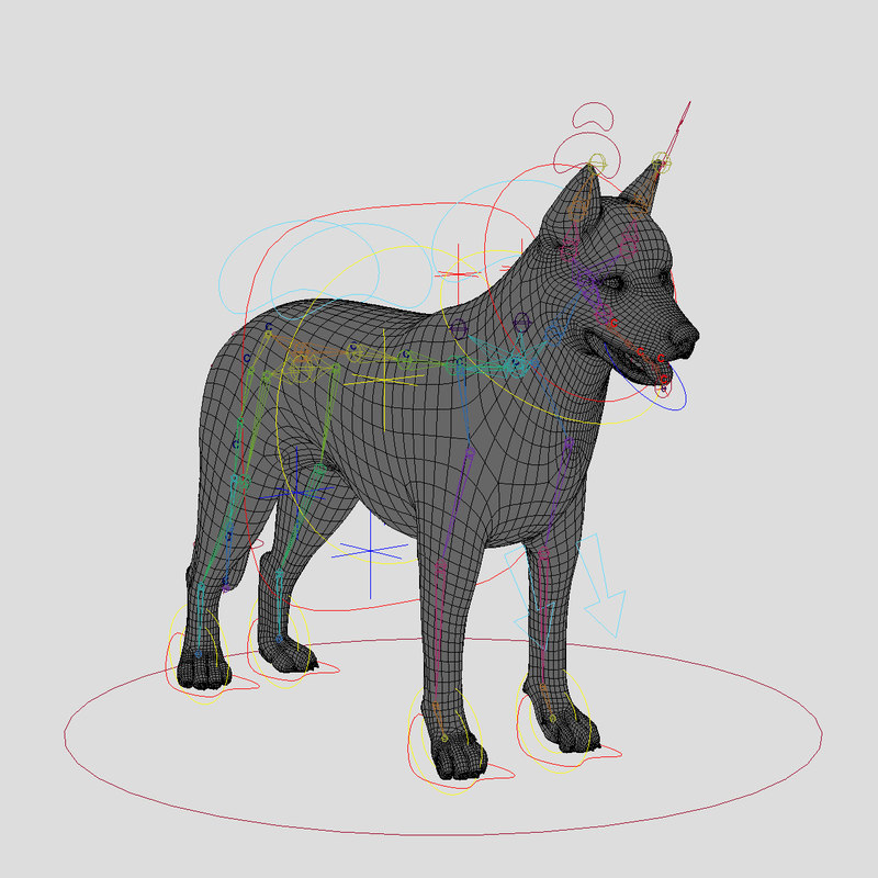 Buy SIBERIAN HUSKY (FUR) (ANIMATED) 3D Models Online