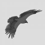 Hawk 3D Model Online | 3D Model Online