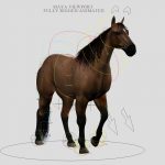 Horse 3D Model Online