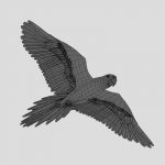 Macaw (ANIMATED) 3D Model Online