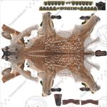 Fawn (ANIMATED) 3D Model Online | 3D Model Online