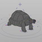 Tortoise 3D Model Online | 3D Model Online