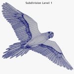 Birds 3D Model Online