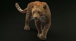 Leopard 3D Model Online | 3D Model Online