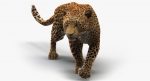 Leopard 3D Model Online | 3D Model Online