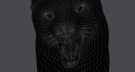 Wolf Head (FUR) 3D Model Online | Animal 3D Model Online
