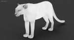 Leopard 3D Model Online | 3D Model Online