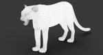 Leopard 3D Model Online | 3D Model Online