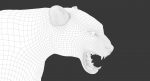 Leopard 3D Model Online | 3D Model Online