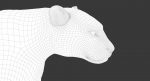 Leopard 3D Model Online | 3D Model Online