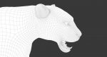 Leopard 3D Model Online | 3D Model Online