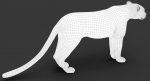 Leopard 3D Model Online | 3D Model Online