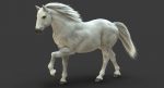 White Horse 3D Model Online | Animal 3D Model Online