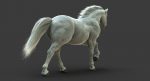 White Horse 3D Model Online | Animal 3D Model Online