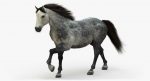 Horse 3D Model Online | Animal 3D Model Online