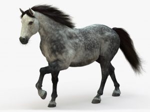 Horse 3D Model Online | Animal 3D Model Online