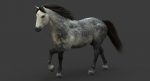 Horse 3D Model Online | Animal 3D Model Online